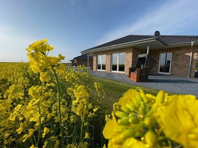 Ferienhaus in Fehmarn - Ferienhaus Sundowner (FH6) - Bild 23