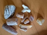 Ferienwohnung in Fehmarn - Ferienwohnung Wildblume - Bild 12