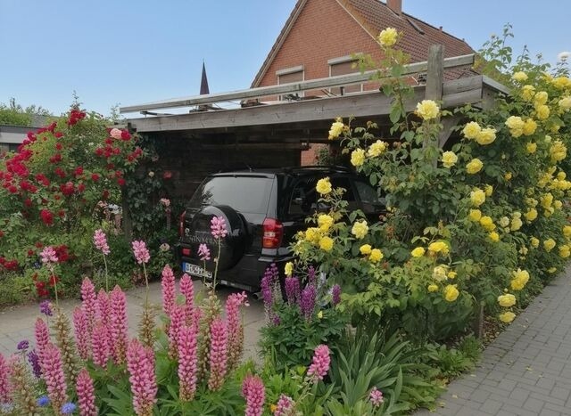 Ferienwohnung in Fehmarn - Ferienwohnung Wildblume - Bild 19