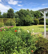 Bungalow in Lensterstrand - Strandläufer - Bild 22