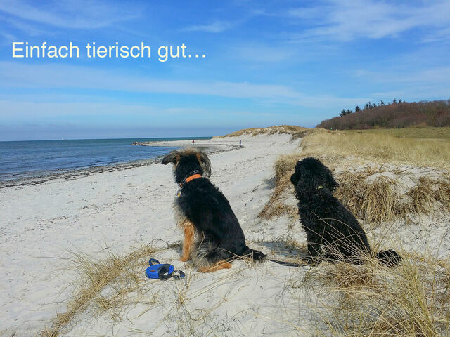 Ferienwohnung in Wendtorf - Whg. Falckenstein - Haus Nordlichter - Bild 9