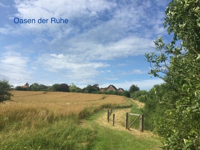 Ferienwohnung in Wendtorf - Whg. Seeschwalbe - Haus Nordlichter - Bild 22