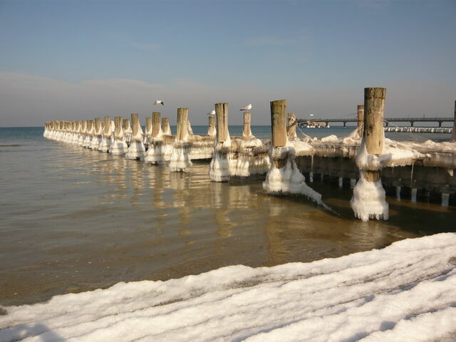 Ferienhaus in Ostseeheilbad Zingst - SONDERPREISE Juni/ September 2025 --- beliebtes FH "Möwe" - nur 2 Minuten vom Strand... WLAN inklusive... - Bild 24