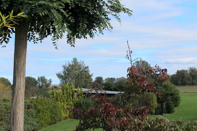 Ferienwohnung in Dändorf - Alte Gärtnerei App. Hortensie - Bild 22