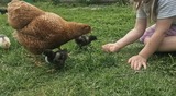 Ferienwohnung in Riepsdorf - [Familienzeit] - freie Zeiten im Sommer - Bild 13