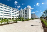 Ferienwohnung in Binz - Loft Lori - Bild 3