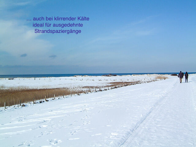 Ferienwohnung in Stein - Whg. Strandl&auml;ufer- Haus Nordlichter - Bild 24