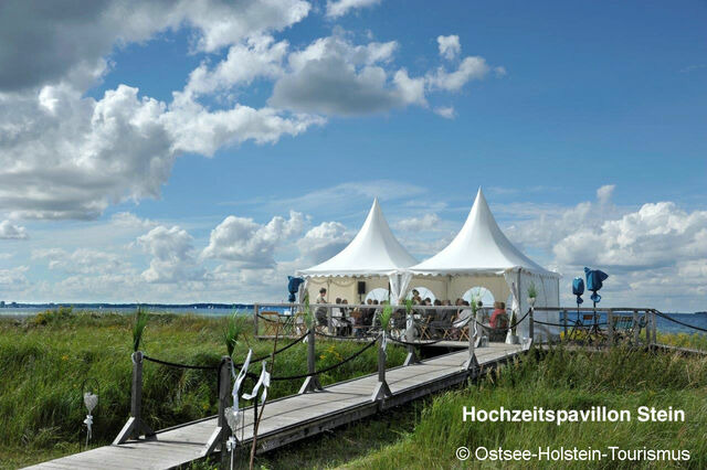 Ferienwohnung in Stein - Whg. Strandl&auml;ufer- Haus Nordlichter - Bild 23