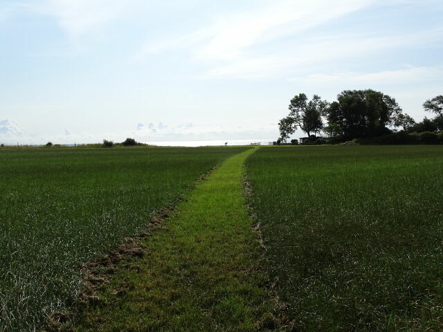 Ferienwohnung in Dahme - "Friesenhof Dahme" Wohnung 1 - Bild 18