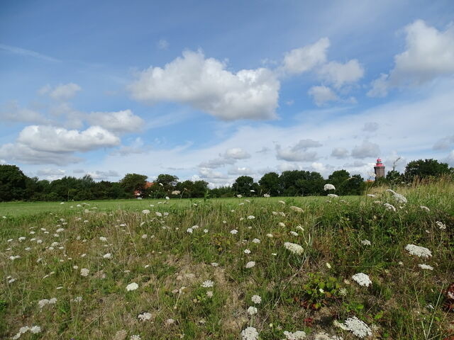 Ferienwohnung in Dahme - "Friesenhof Dahme" Wohnung 1 - Bild 24