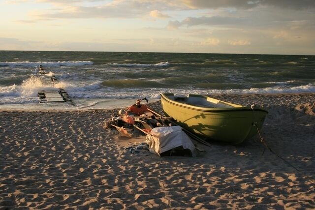 Ferienwohnung in Born a. Darß - Ferienwohnung Nr. 08 (EG + OG) - Bild 22