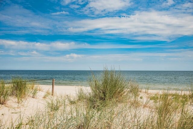 Ferienhaus in Ückeritz - Kormoran - Bild 23