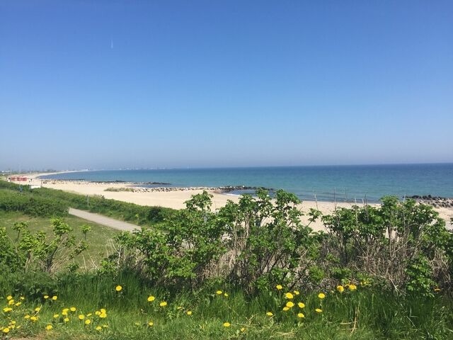 Ferienhaus in Brodersby - Poolhaus Ostsee - Bild 24
