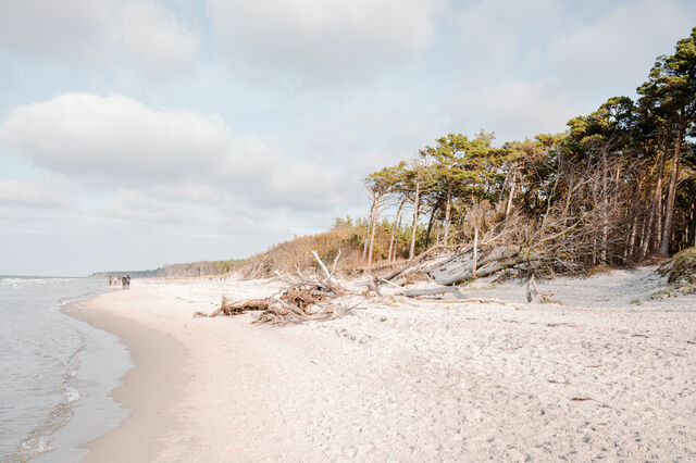 Ferienwohnung in Ahrenshoop - Strandmuschel 3 - Bild 8
