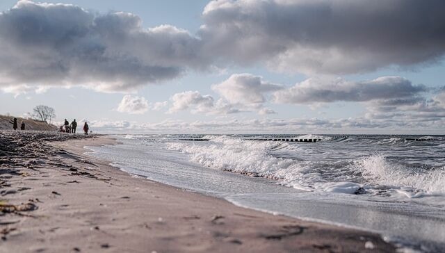 Ferienwohnung in Ahrenshoop - Strandoase 2 - Bild 7