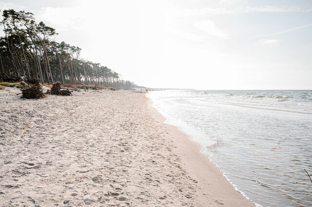 Ferienwohnung in Ahrenshoop - Stranddüne 1 - Bild 10