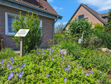 Ferienwohnung in Kellenhusen - FeWo "mittlere Auszeit" - Bild 9