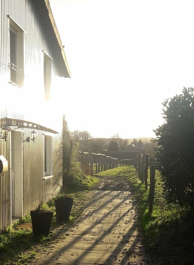 Ferienwohnung in Boren - Akebys Erholung in besonderer Atmosphäre, inkl. Pflegepony, Gastpferdeboxen vorhanden - Bild 6