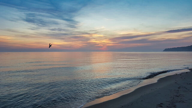 Ferienhaus in Baabe - Dwarsloeper - Baabe - Bild 24