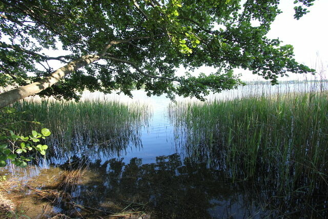 Ferienwohnung in P&ouml;nitz am See - Landhaus am See - mit Strandkorb an der Ostsee - Bild 25