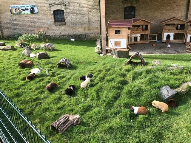 Ferienwohnung in Fehmarn OT Staberdorf - Tenne 4, inkl. 1 Parkplatz - Bild 19