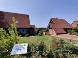 Ferienhaus in Kellenhusen - Blaue Hus - Bild 11