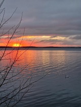Ferienhaus in L&uuml;tow - Ferienhaus K&ouml;hler Am Achterwasser , Urlaub mit Hund - Bild 23