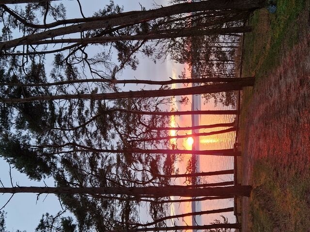 Ferienwohnung in Lütow - Ferienhaus Köhler Am Walde , Urlaub mit Hund - Bild 19