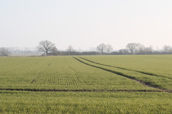 Ferienwohnung in Cismar - Ferienwohnung Oetken - `Feldblick`-vom                 Wohn-Schalfbereich