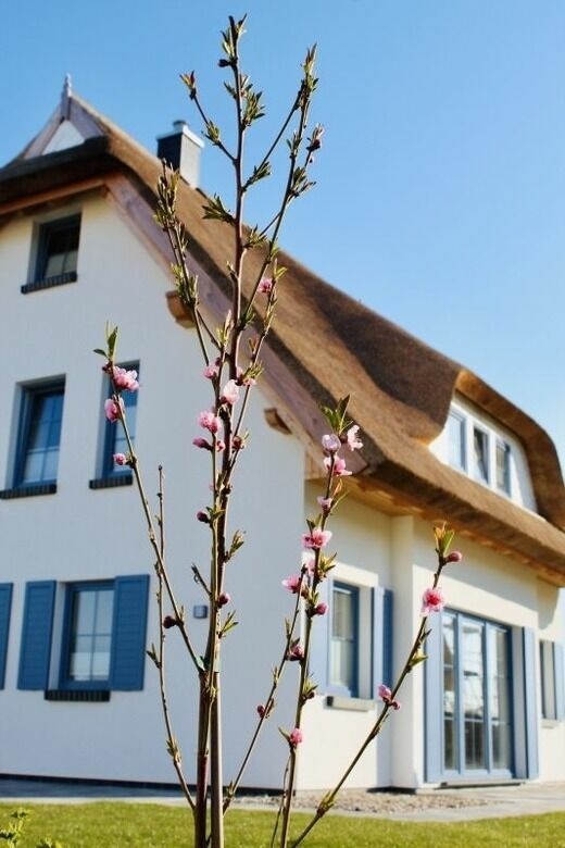 Ferienwohnung in Dranske - Ferienhaus Rügenzauber - Bild 15