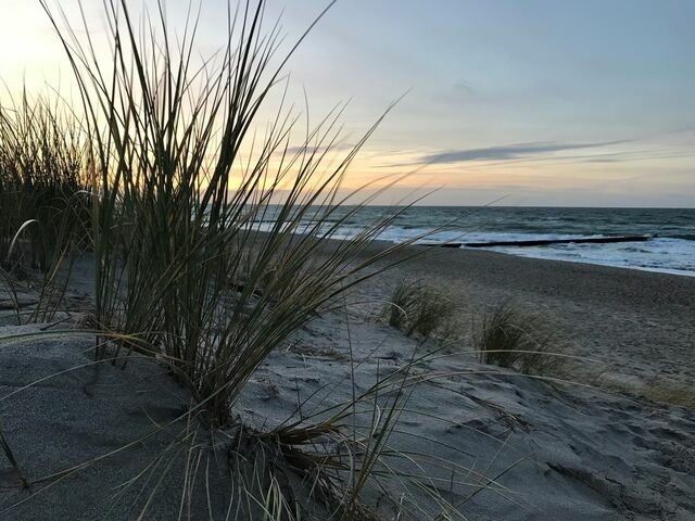 Ferienwohnung in Dierhagen - Ferienwohnung Strandkoje - Bild 18