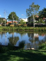 Ferienwohnung in Scharbeutz - Maris Ferienwohnung Nr. 46 (EG mit Terrasse) - Bild 20