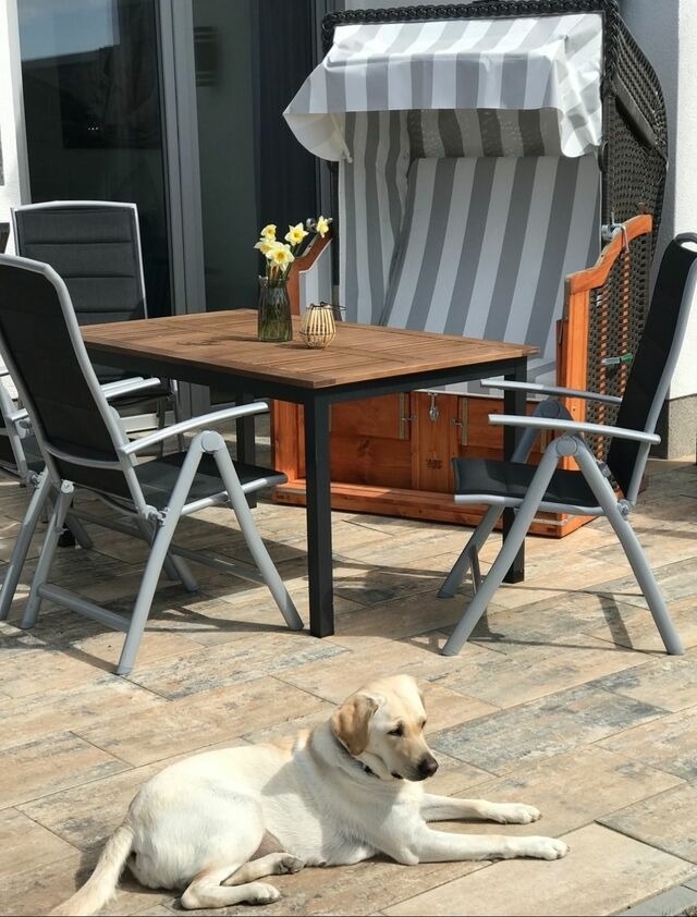 Ferienhaus in Fehmarn - The Fehmarn Lodges - OASIS - - Bild 3