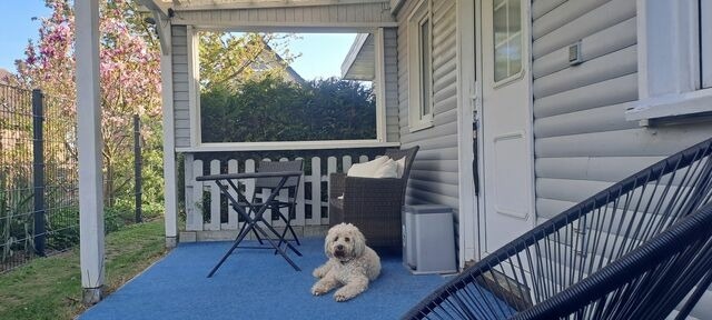 Bungalow in Rövershagen - Ferienhaus Sommer - Bild 20