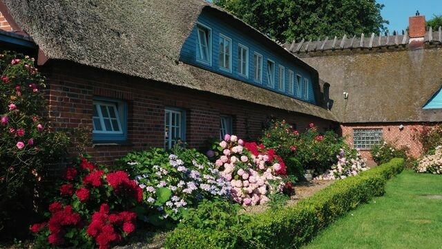 Ferienwohnung in Nieby - Strandhaus Falshöft 2 - Bild 4