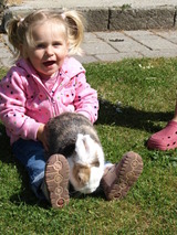 Ferienhaus in Fehmarn - Wellnesshaus "Wind" eingezäunt - Bild 11