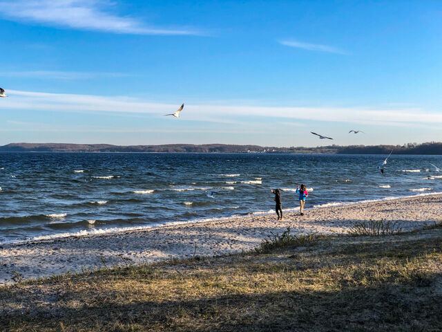 Ferienwohnung in Glücksburg - Ferienwohnung Am Leuchtturm - Bild 24