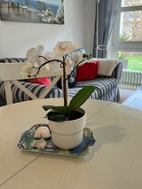 Ferienwohnung in Sch&ouml;nberger Strand - Petersen und Stoltenberg Wiesenweg GbR: Fe.-App. "Wiesenpieper" - Bild 10