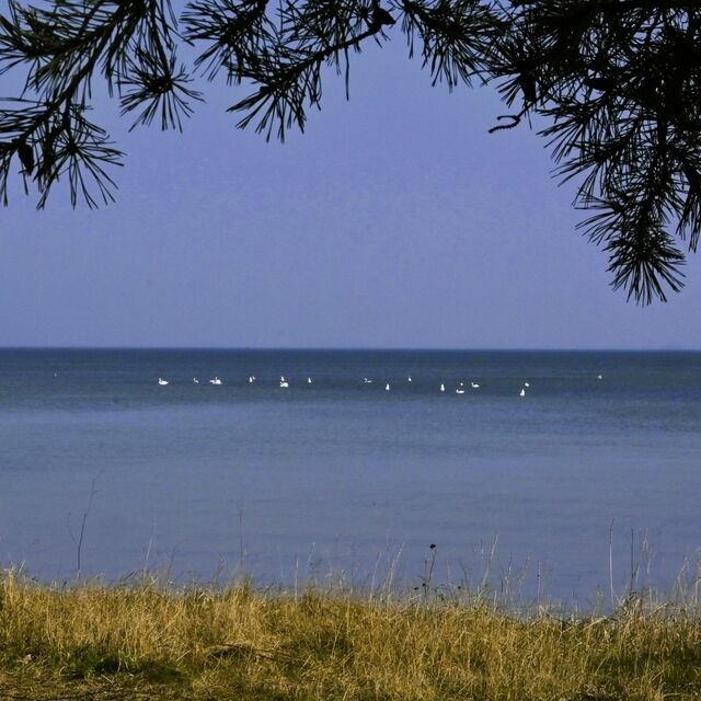 Ferienwohnung in Stralsund - Morgensonne - Bild 15