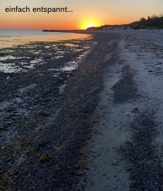 Ferienwohnung in Wendtorf - Strandläufer - Bild 19