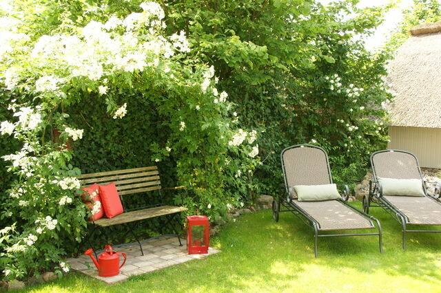 Ferienhaus in Heringsdorf - Reethus Sternenkikker inkl. Strandkorb am Ostseestrand - Bild 3