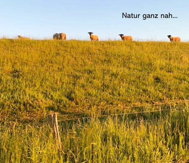 Ferienwohnung in Stein - Landliebe - Bild 15