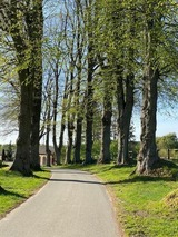 Ferienwohnung in Rieseby - Gut Büchenau - Ferienwohnung Romantika - Bild 15
