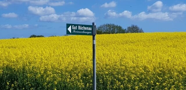 Ferienwohnung in Rieseby - Gut Büchenau - Ferienwohnung Meeresbrise - Bild 16