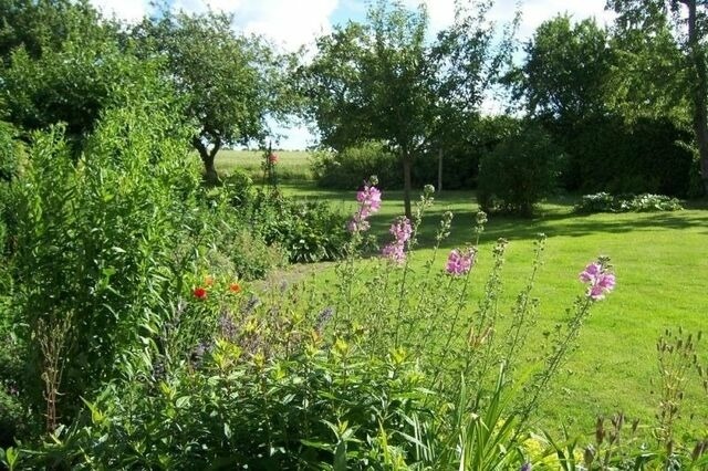 Ferienhaus in Brodersby - Landhaus Schleiblick - Bild 23