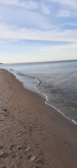 Ferienhaus in Fehmarn OT Gammendorf - Küstenliebe-Fehmarn - Niobe Strand