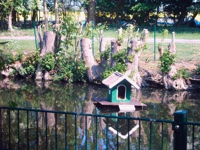 Ferienwohnung in Fehmarn - "H&ouml;per Mittelhof" Ferienwohnung im Anbau - Bild 8