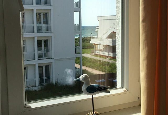 Ferienwohnung in Großenbrode - Meerblick 11 - Seemöwe - Bild 12