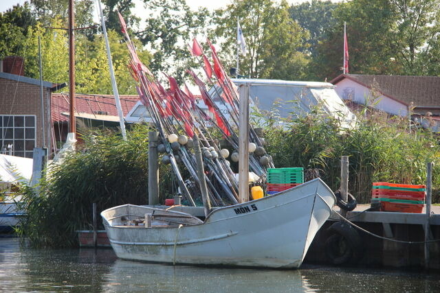 Bungalow in Mönkebude - Strandhaus 134 - Bild 19