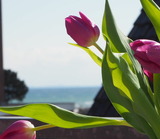 Ferienwohnung in Gr&ouml;mitz - Haus Jutta - Appartement 7 - Bild 12